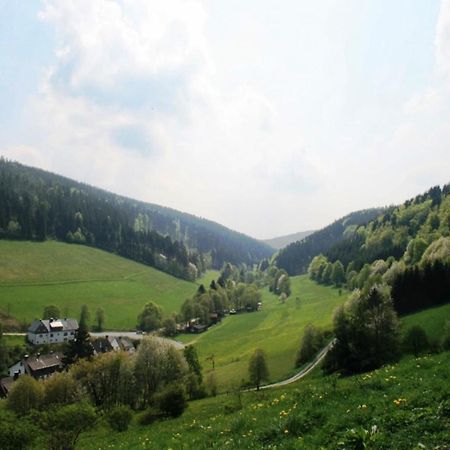 Large Holiday Home In Willingen With Private Garden And Several Terraces Ngoại thất bức ảnh