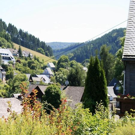 Large Holiday Home In Willingen With Private Garden And Several Terraces Ngoại thất bức ảnh