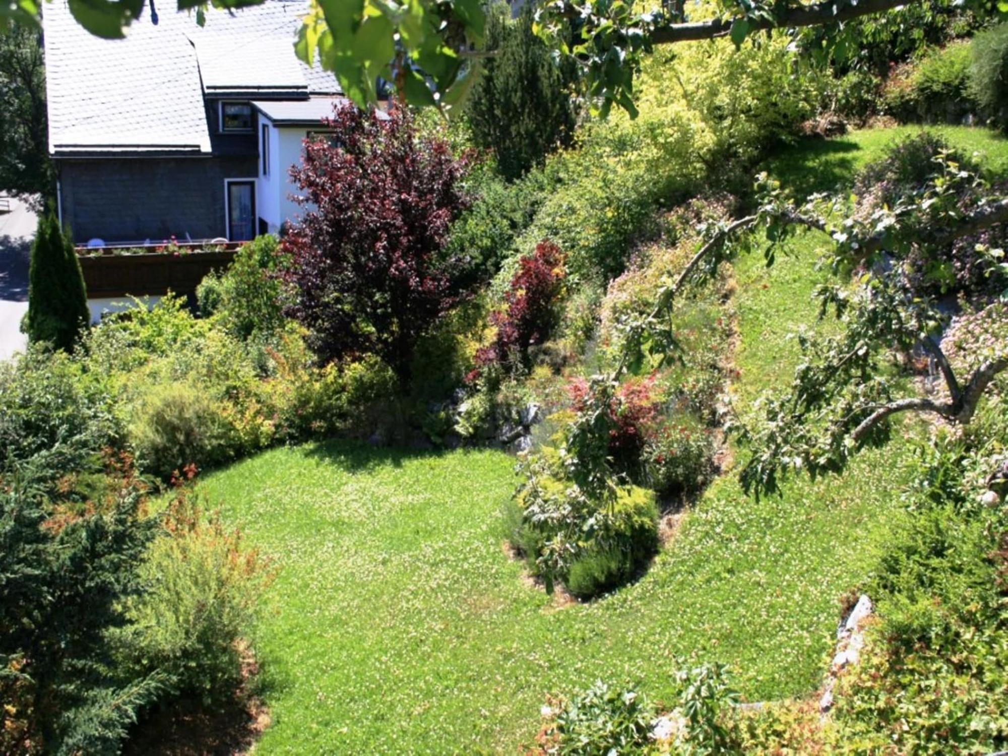 Large Holiday Home In Willingen With Private Garden And Several Terraces Ngoại thất bức ảnh