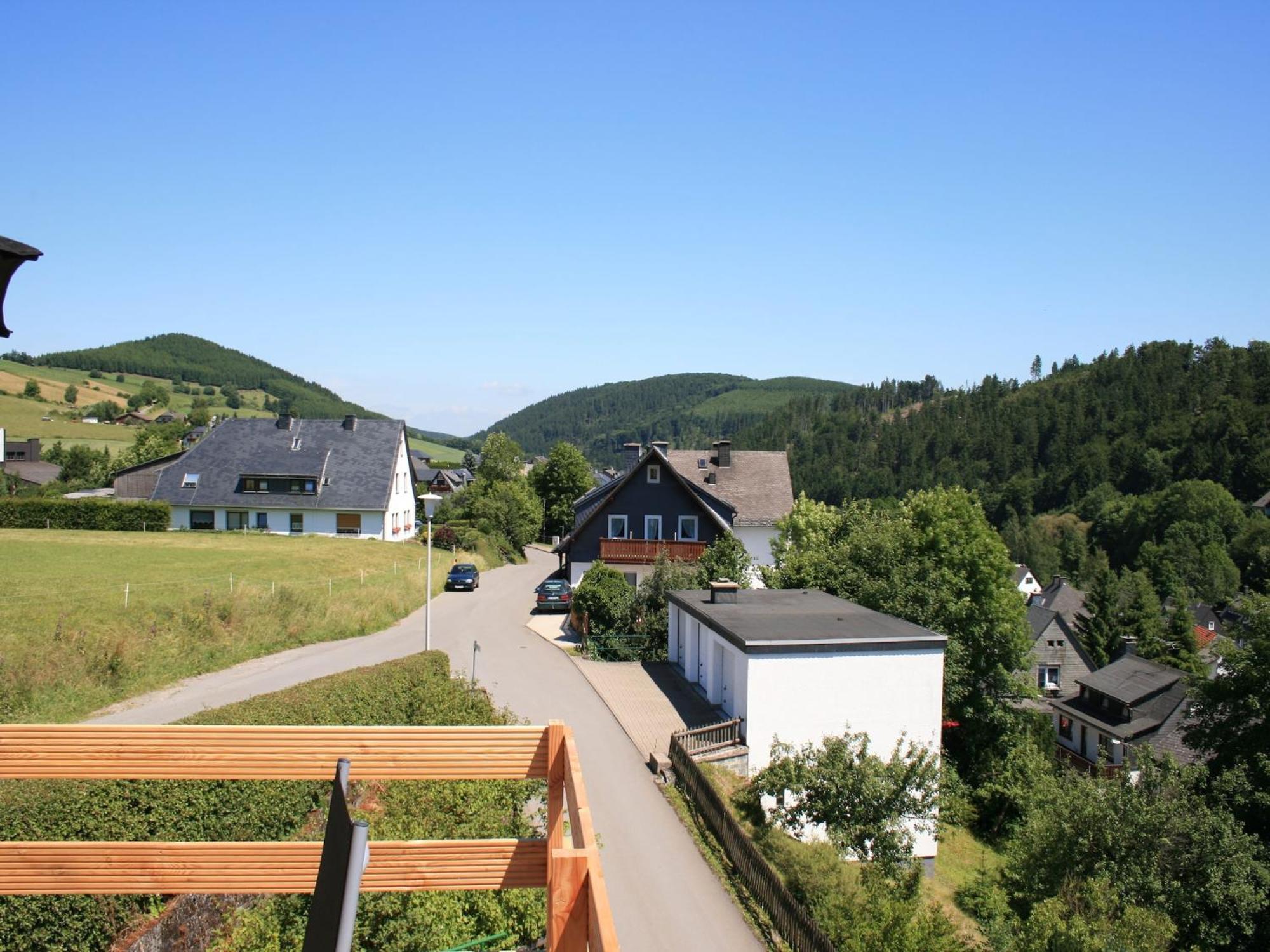 Large Holiday Home In Willingen With Private Garden And Several Terraces Ngoại thất bức ảnh