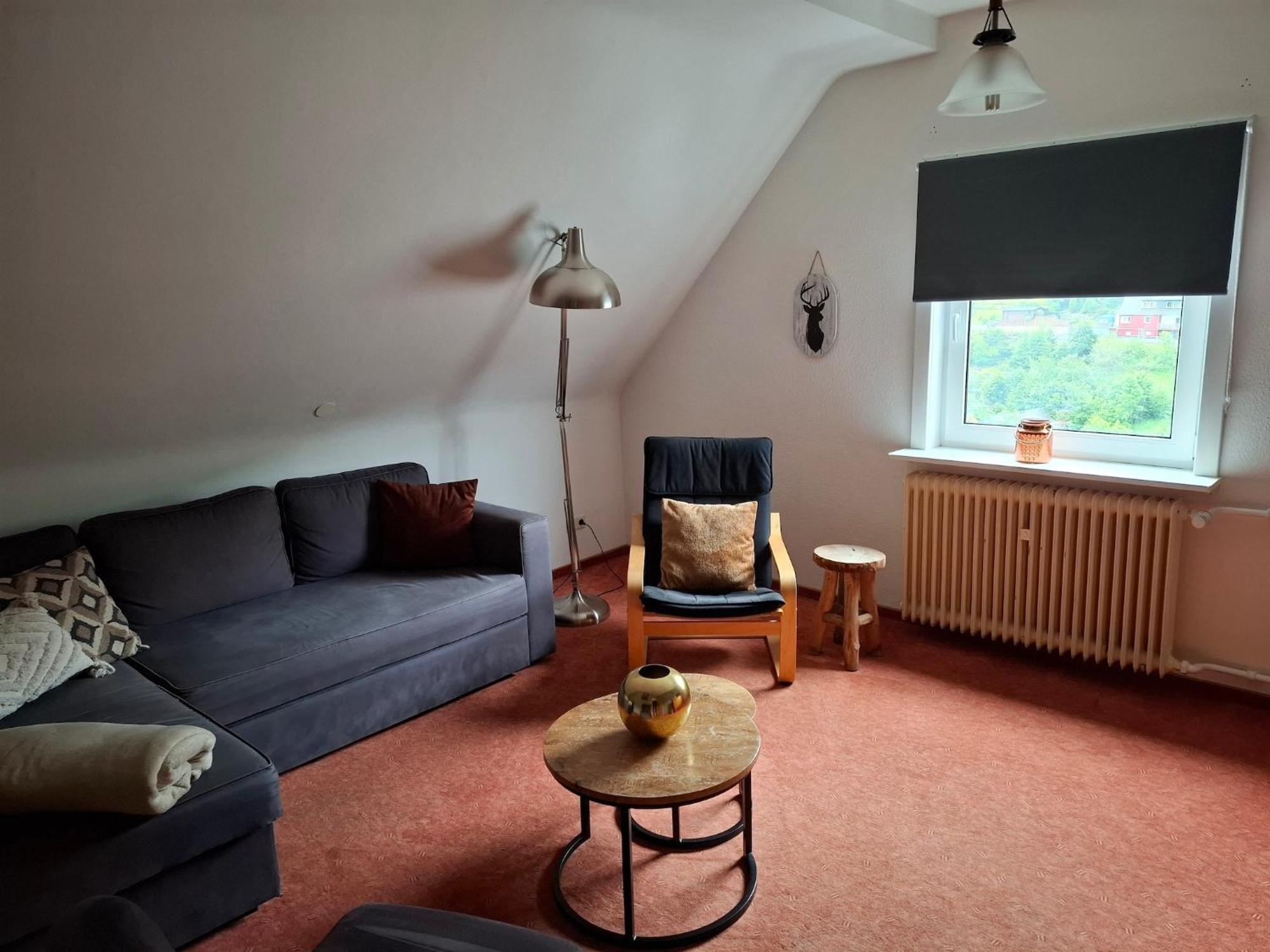 Large Holiday Home In Willingen With Private Garden And Several Terraces Ngoại thất bức ảnh